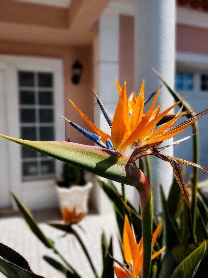 Villa Shardana B&B Sesimbra Ngoại thất bức ảnh